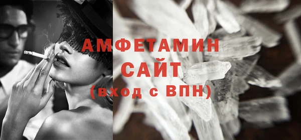 дживик Няндома