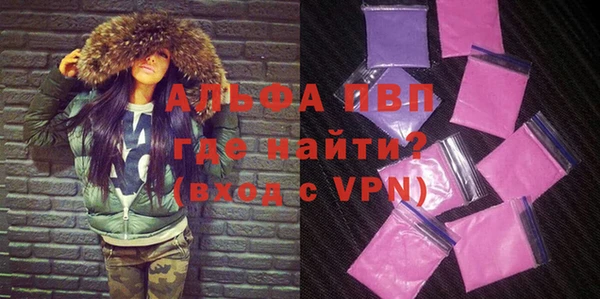 дживик Няндома