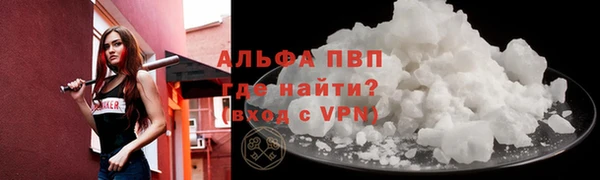 дживик Няндома