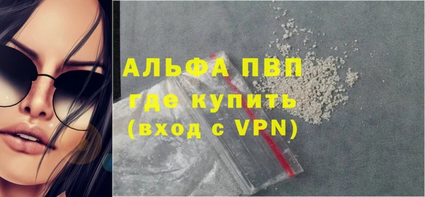 дживик Няндома