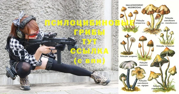 ALPHA PVP Ветлуга