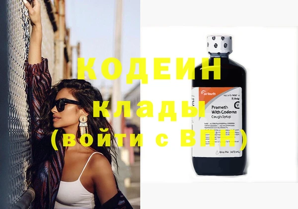 дживик Няндома
