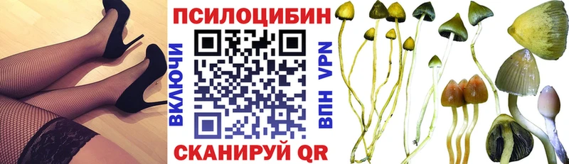 кракен онион  Курчатов  Галлюциногенные грибы GOLDEN TEACHER 