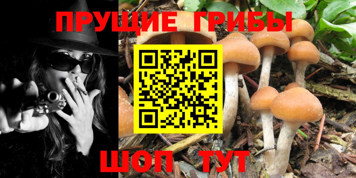 А ПВП Курчатов