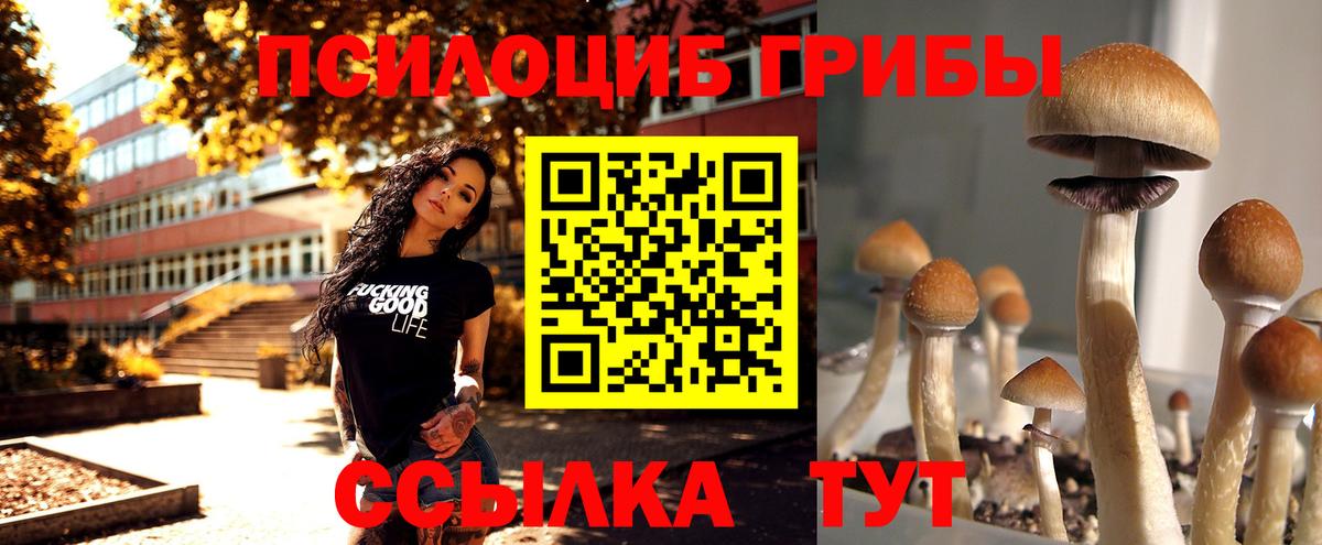 Галлюциногенные грибы MAGIC MUSHROOMS Курчатов