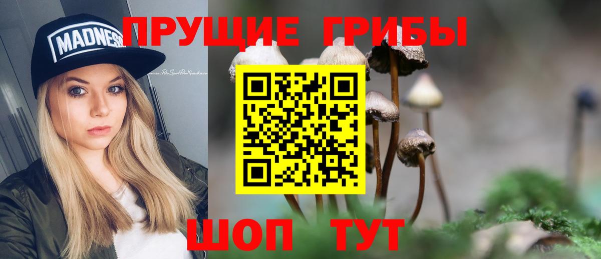 Псилоцибиновые грибы Psilocybe  Вход с VPN  Курчатов 